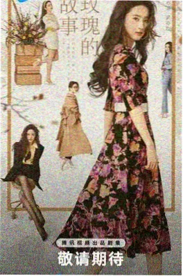 换命夫妻海报
